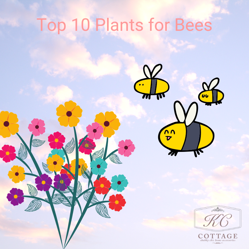 Top 10 Plants for Bees